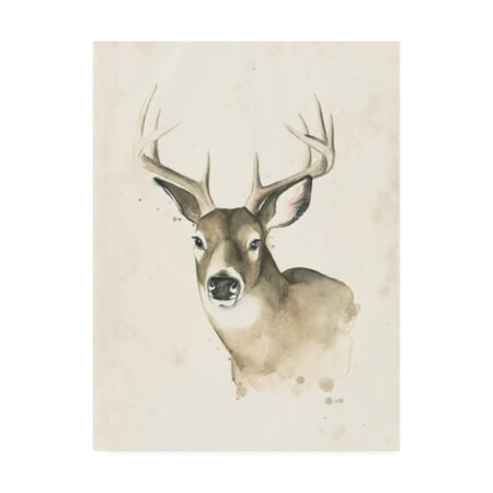 Trademark Fine Art Grace Popp 'Animals' Canvas Art, 24x32 WAG14135-C2432GG